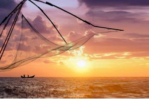 Chinese Fishing Nets