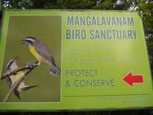 Mangalavanam Bird Sanctuary