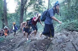 forest in sabarimala