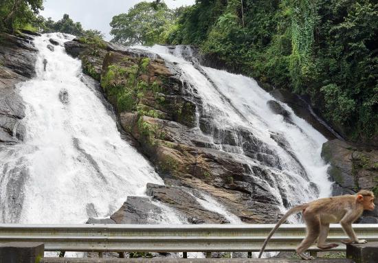 Chapra-Waterfalls