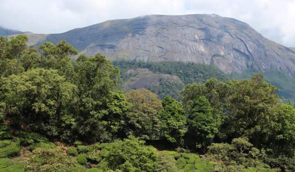 anamudi