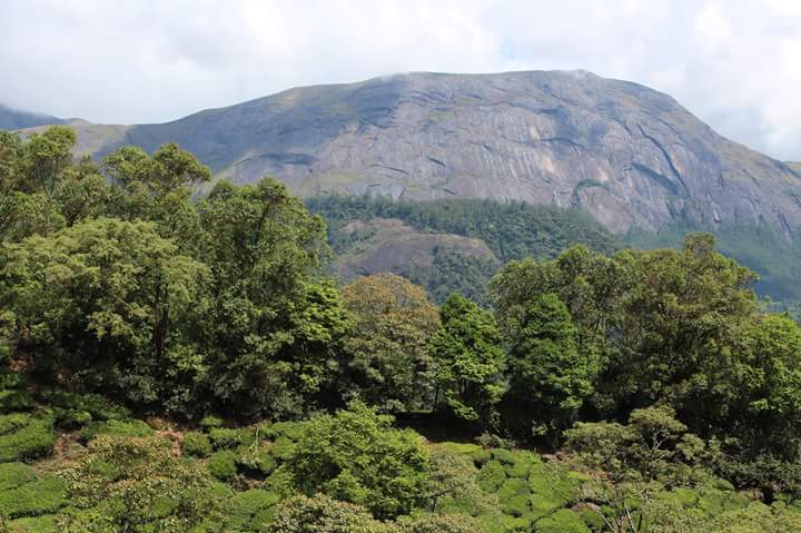 Anamudi Hill Long View