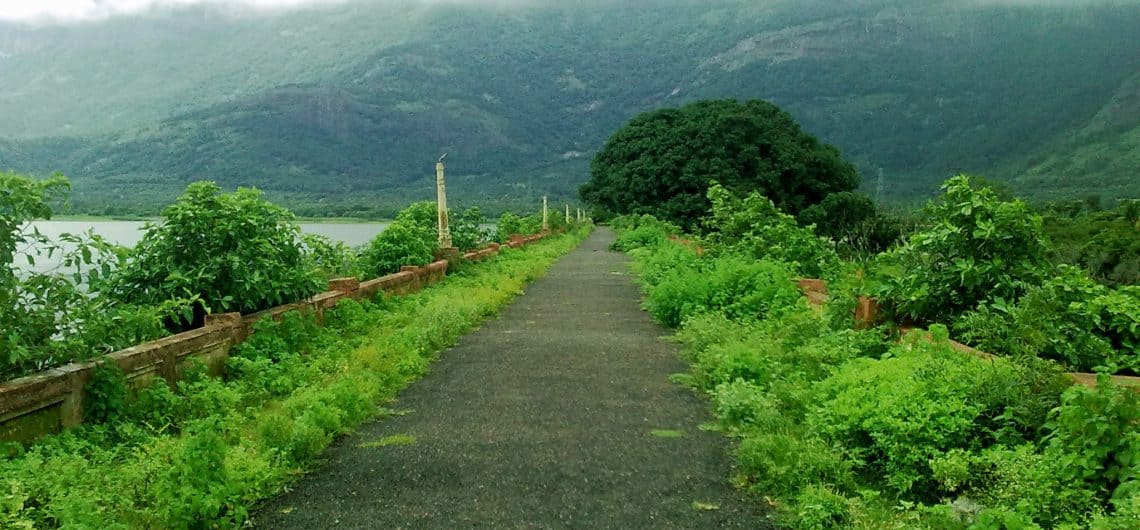 Greenery View of Chulliyar dam