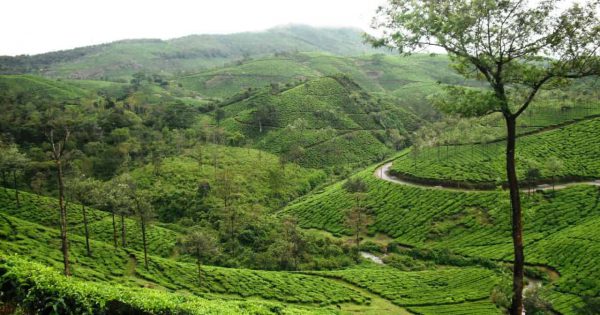 Elappara View Point | Blue Bird Travels