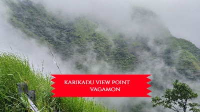 Kochi - Munnar - Thekkady - Vagamon - Kochi (4 nights 5 days)[R#1044] 15