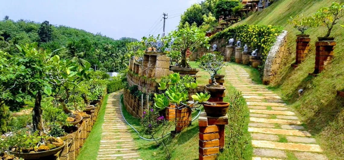 Beautiful Greenery view of botanical garden