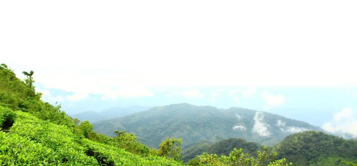 View point at Memuttam