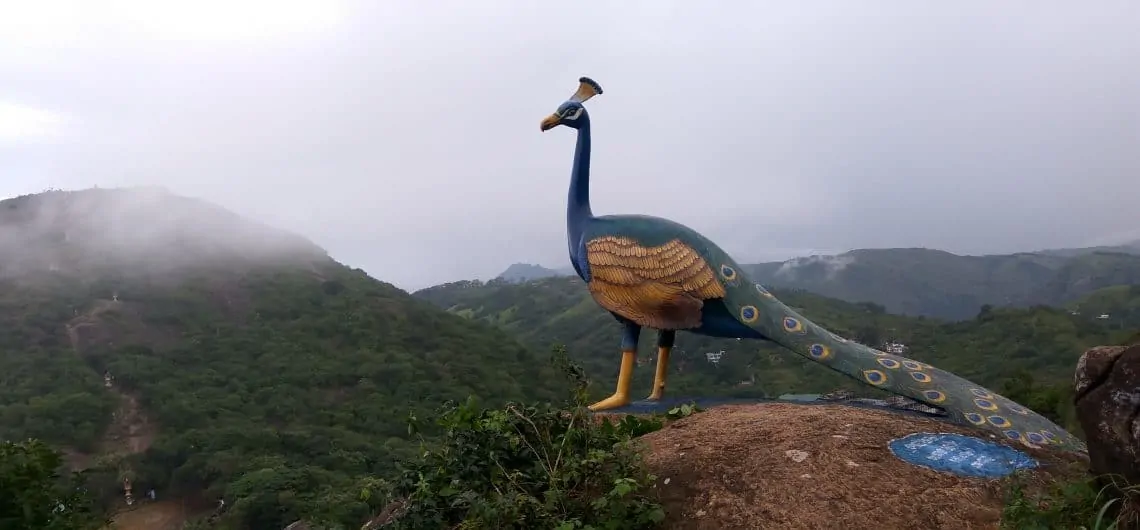 a scenic hill in Vagamon