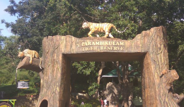 parambikulam-tiger-reserve