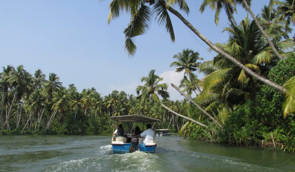 Kovalam vs Poovar – Which Is Better for Your Kerala Trip? 3 Boating in poovar