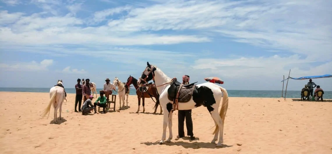 horse riding in the sea shore