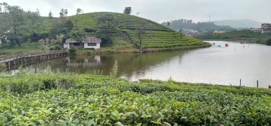 Boating at Tea Lake