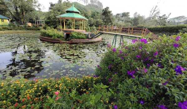 the-blossom-international-park