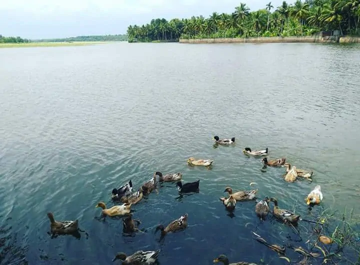 Beautiful lake