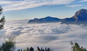 Kerala Itinerary 5 Days vs 7 Days – Which One Should You Choose? 10 Munnar Hills