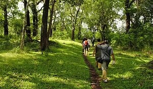 Kerala Itinerary 5 Days vs 7 Days – Which One Should You Choose? 12 thekkady treking