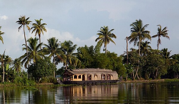 Alleppey vs Thekkady – Which Is Better for Your Kerala Trip? 14 Alleppey vs Thekkady – Which Is Better for Your Kerala Trip? 7