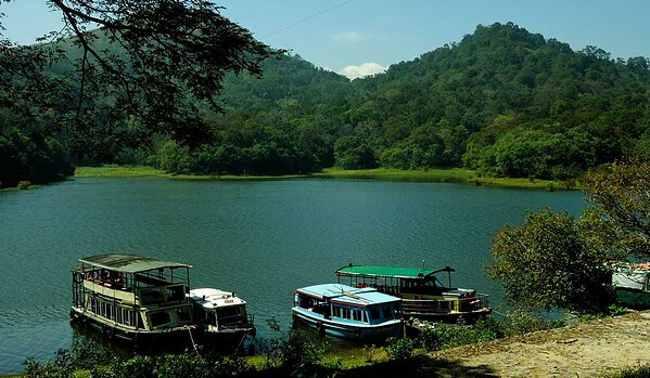 Alleppey vs Thekkady – Which Is Better for Your Kerala Trip? 19 Thekkady