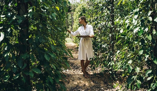 Alleppey vs Thekkady – Which Is Better for Your Kerala Trip? 9 Alleppey vs Thekkady – Which Is Better for Your Kerala Trip? 5