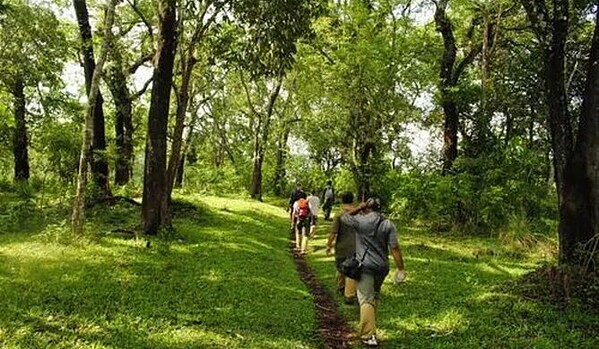 Alleppey vs Thekkady – Which Is Better for Your Kerala Trip? 10 Trekking