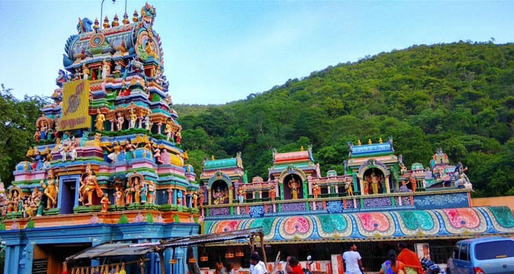 Kochi - Munnar - Thekkady - Madurai - Rameshwaram - Kanyakumari - Kovalam - TVM (8 Nights 9 Days)[R#1036] 67