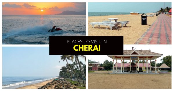 Cherai Beach | Blue Bird Travels