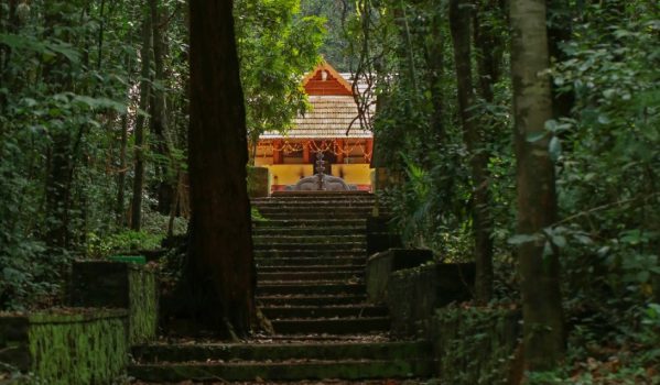 Iringole-Kaavu