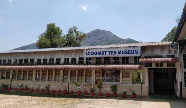 lockhart-tea-museum