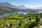 Best Places to Visit in Munnar in 2 days