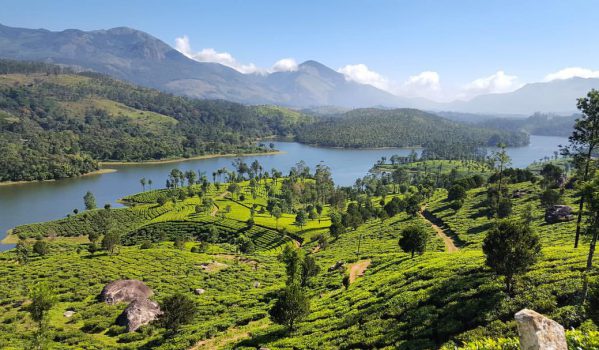 Munnar