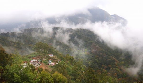 Best Places to Visit in Munnar in 2 days 2 Top-Sation