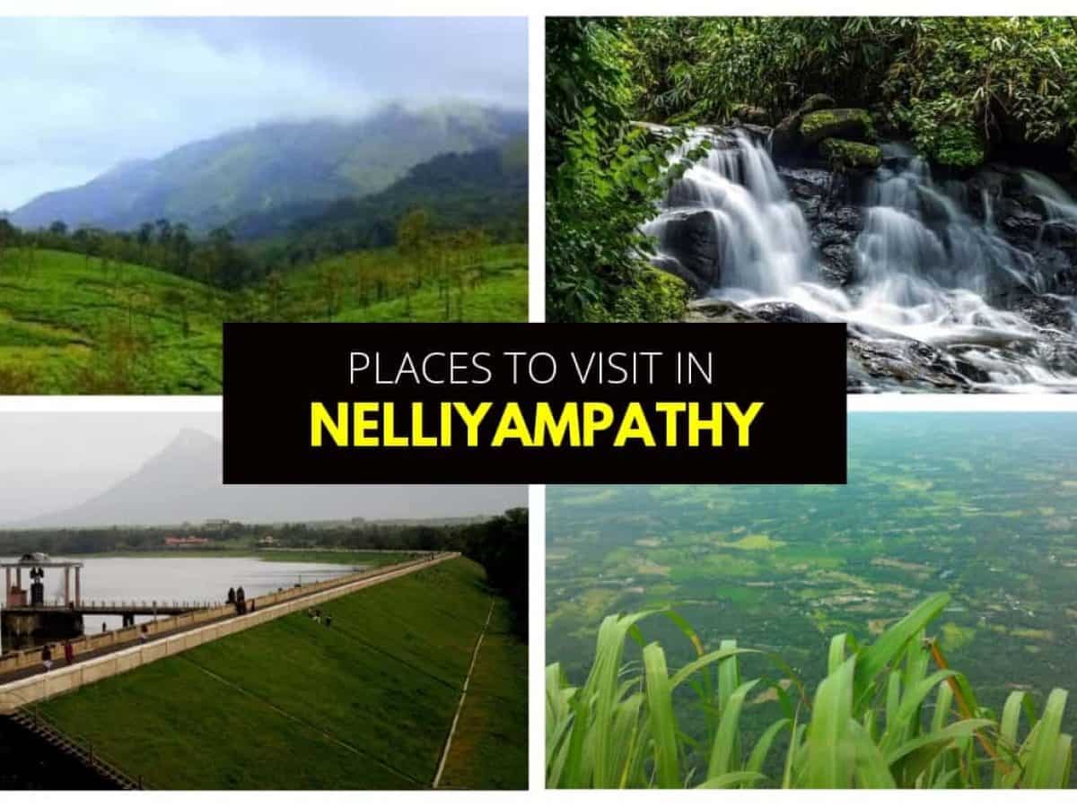 Places To See In Nelliyampathy Blue Bird Travels