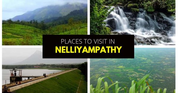 Places to see in Nelliyampathy | Blue Bird Travels