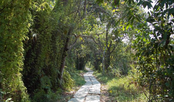 Places to See in Alleppey: Venice of the East 5 Pathiramanal