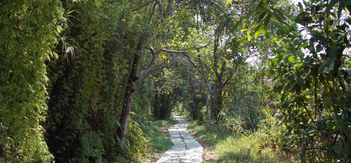 a nice walkway to the forest