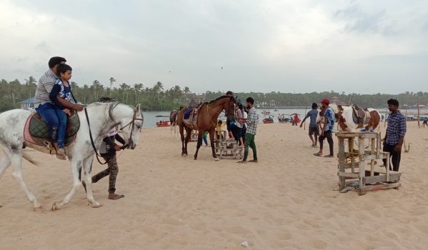 Places to Visit in Poovar Island: Estuary, Beach & Boat 6 Poovar-Beach-North