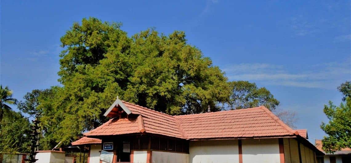 Landscape view of Adithyapuram Surya Temple