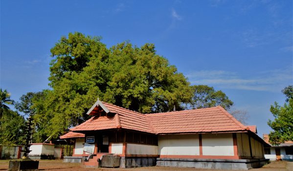 Kaduthuruthy Mahadeva Temple: Trio Shrine Legend 9 landscape-view-of-adithyapuram-surya-temple