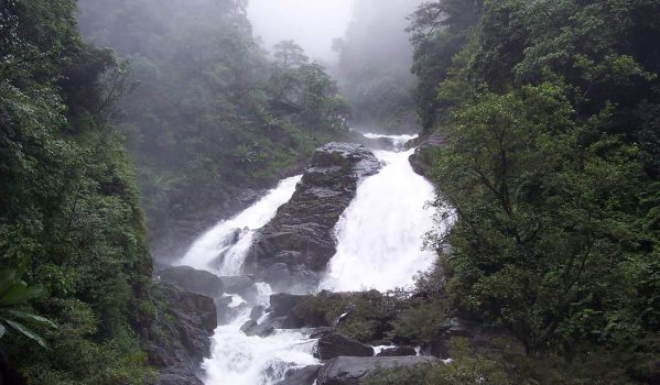 aralam-wildlife-sanctuary