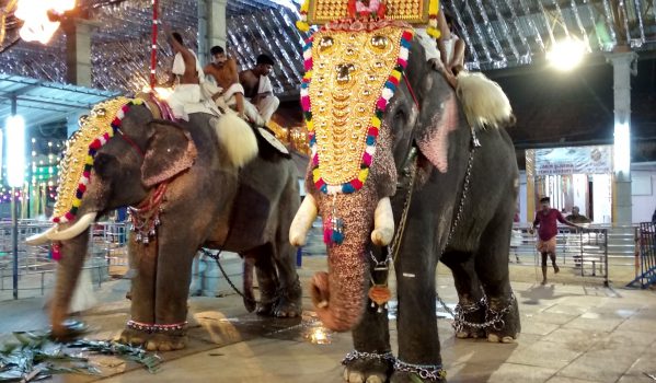 Chottanikkara Temple: Maha Shakti & Healing in Kochi 6 shiveli-during-festival-at-temple