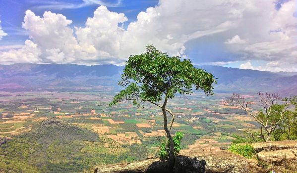 Chellarkovil-ViewPoint