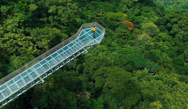 Vagamon vs Munnar – Which Is Better for Your Kerala Trip? 10 Glass bridge